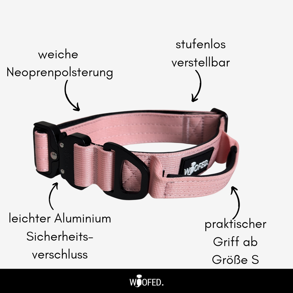 Nylon Halsband-Leine-Set Dusty Rose ultraleicht