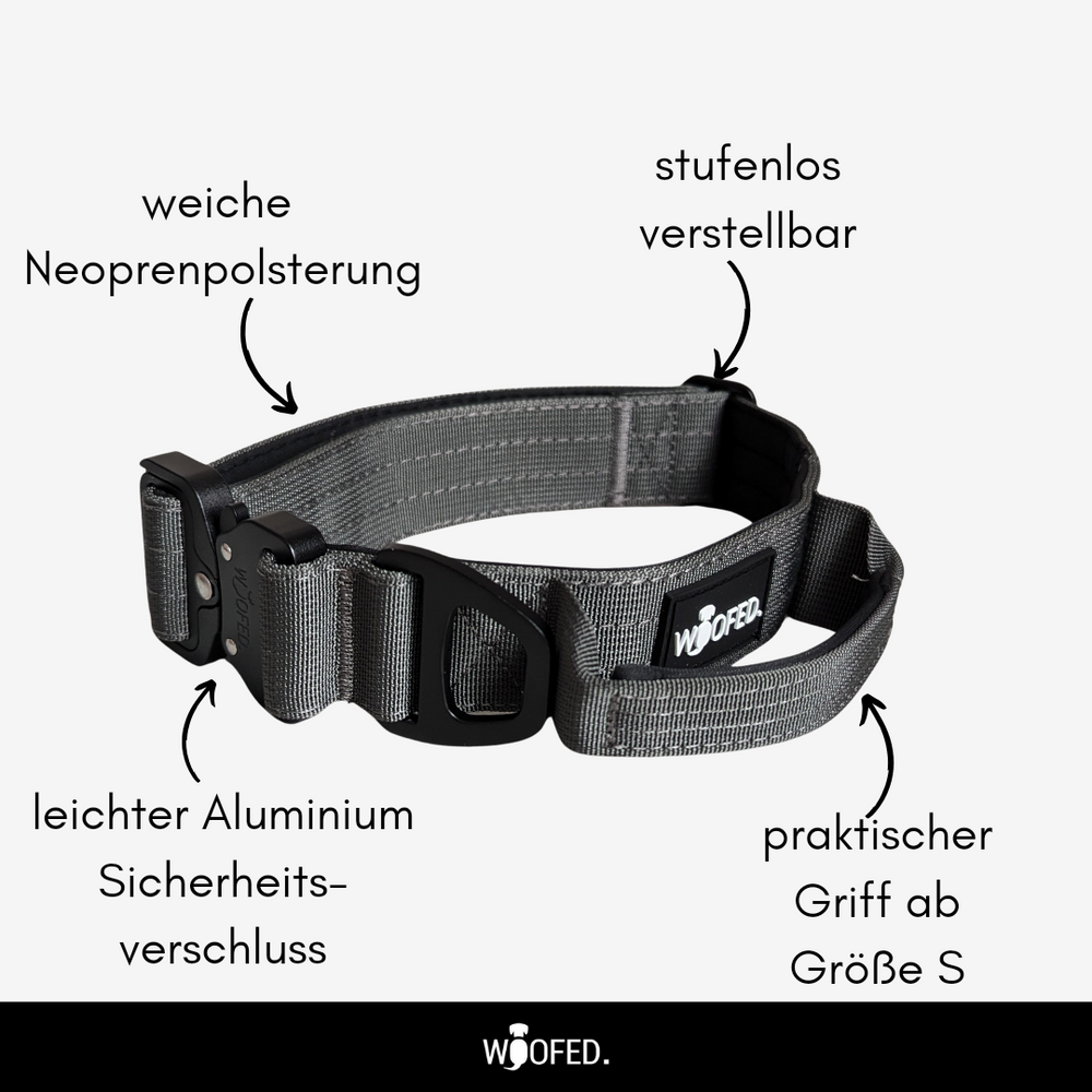 Nylon Halsband-Leine-Set Anthracite ultraleicht