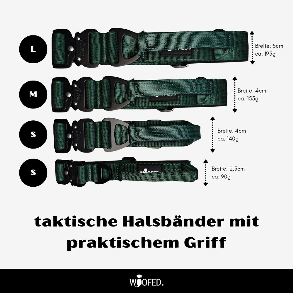 Nylon Halsband-Leine-Set Dark Green ultraleicht