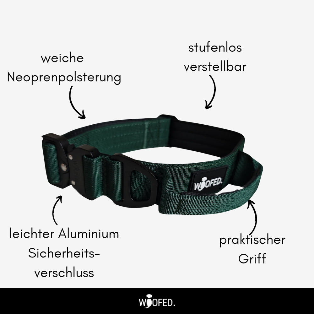 Nylon Halsband-Leine-Set Dark Green ultraleicht