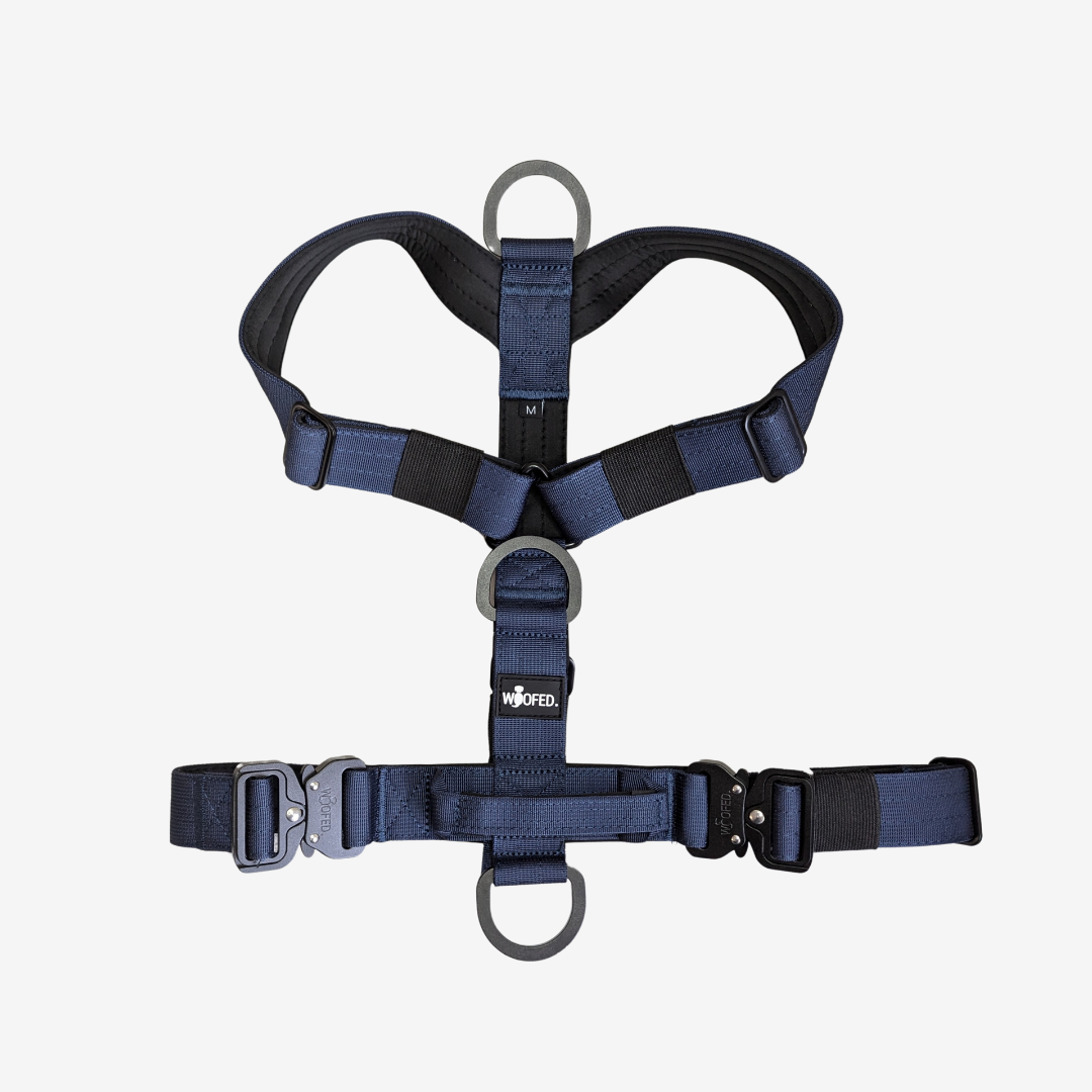 Y-Hundegeschirr 4fach-verstellbar mit Griff und Sicherheitsschnallen MIDNIGHT BLUE - ultraleicht