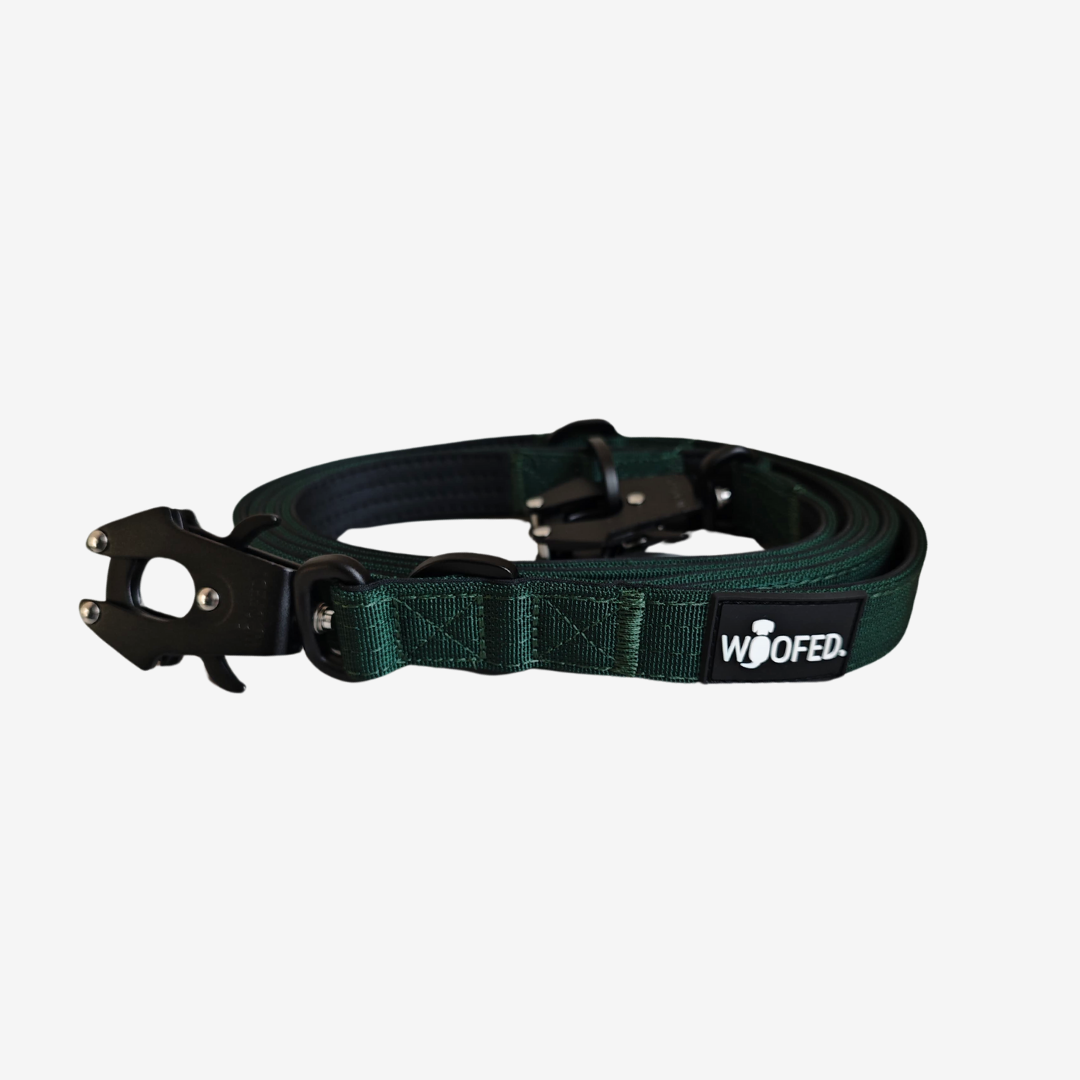 Nylon Tactical Führleine DARK GREEN