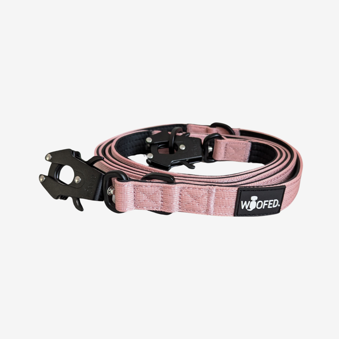 Nylon Tactical Führleine DUSTY ROSE