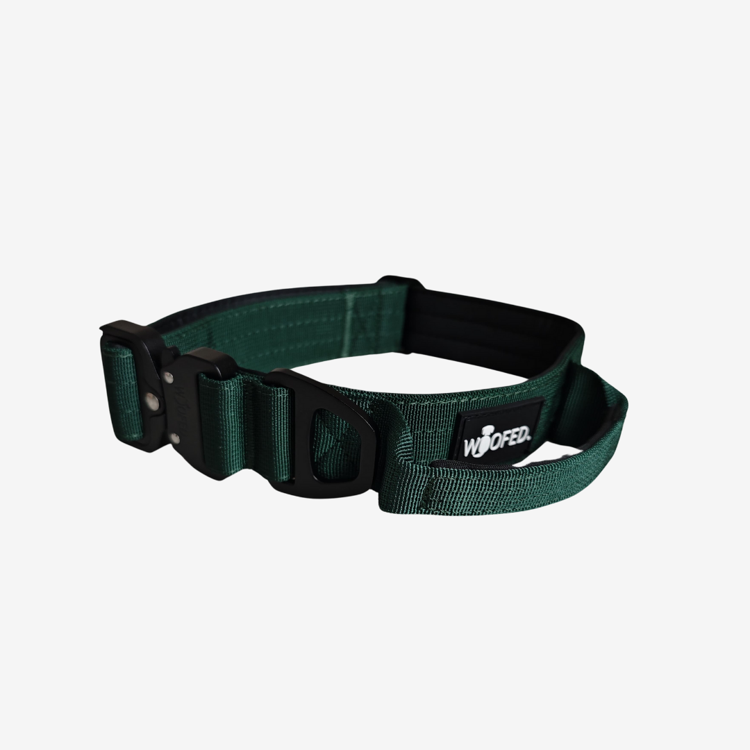 Nylon Tactical Halsband DARK GREEN - Ultraleicht