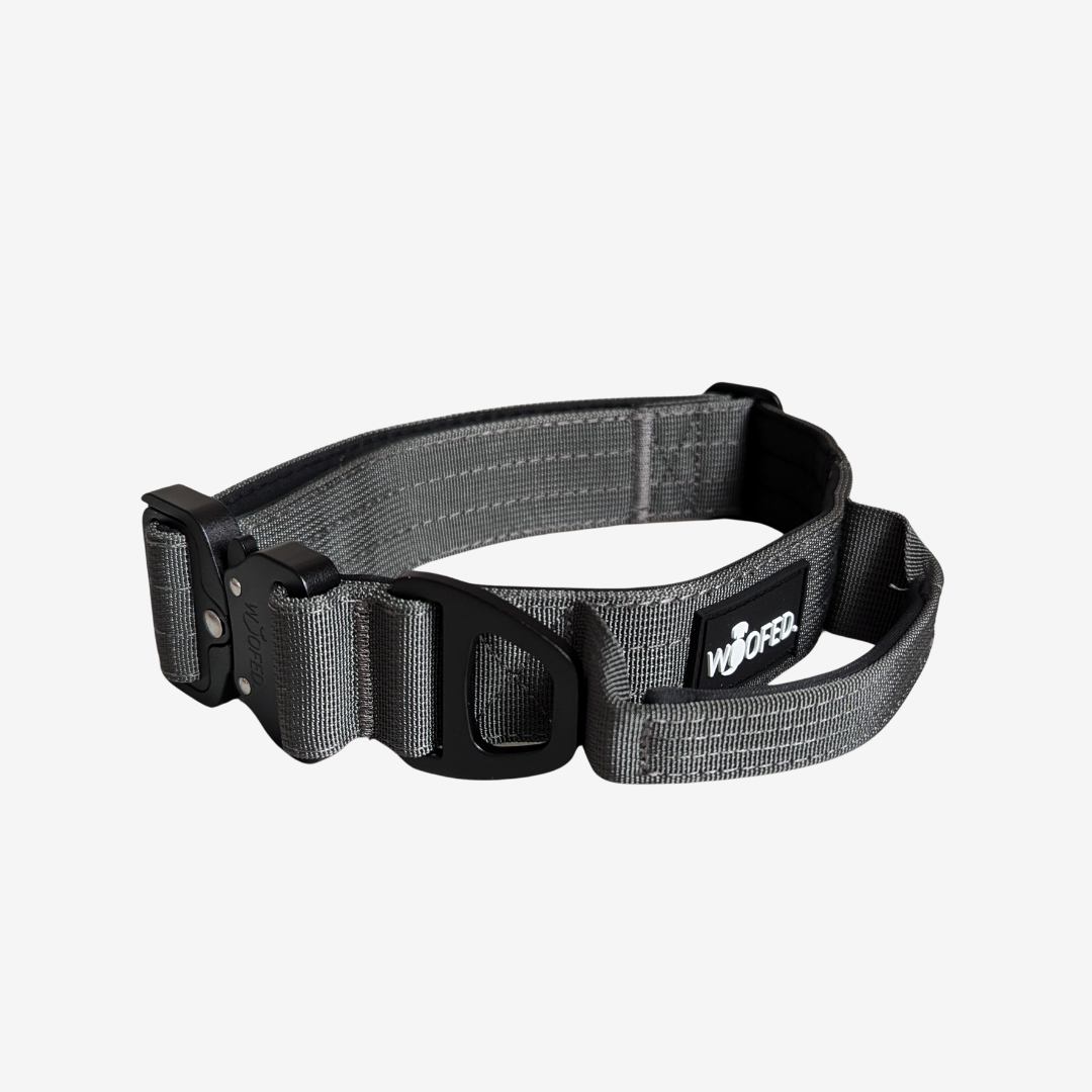 Nylon Tactical Halsband ANTHRACITE - Ultraleicht