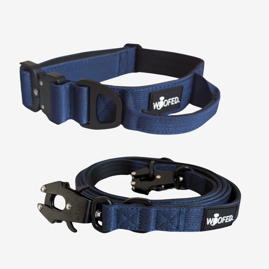 Nylon Halsband-Leine-Set Midnight Blue ultraleicht