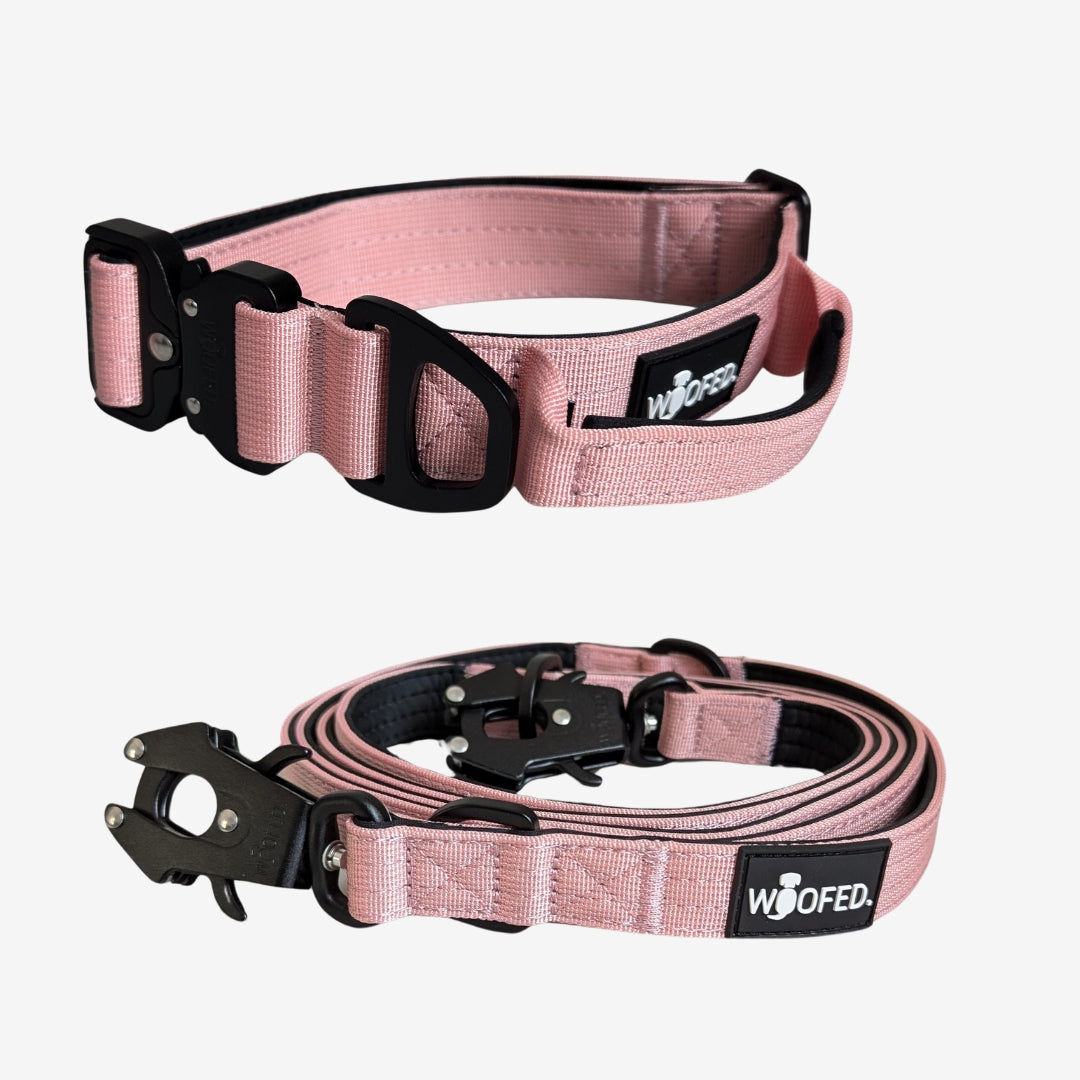 Nylon Halsband-Leine-Set Dusty Rose ultraleicht