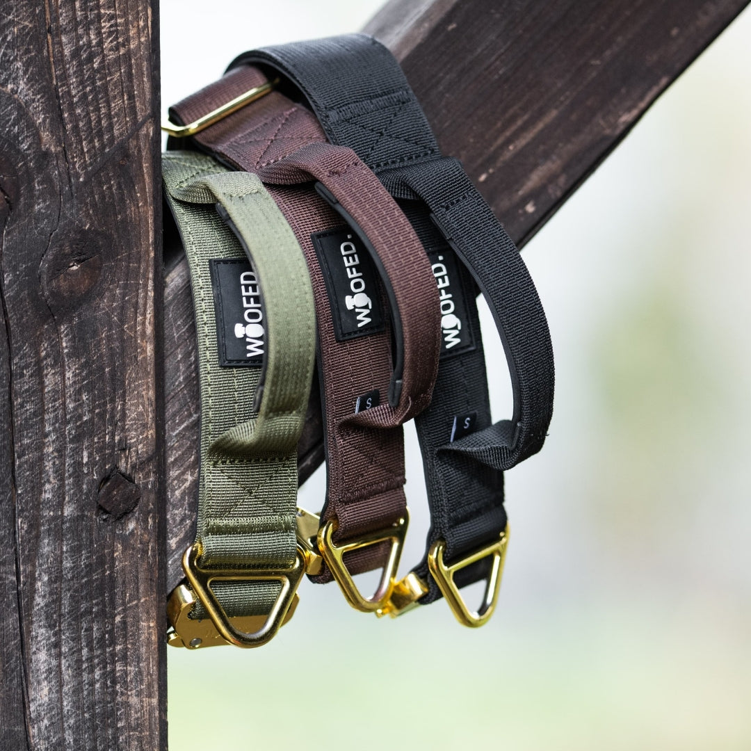 taktisches Nylon Halsband Dark Brown