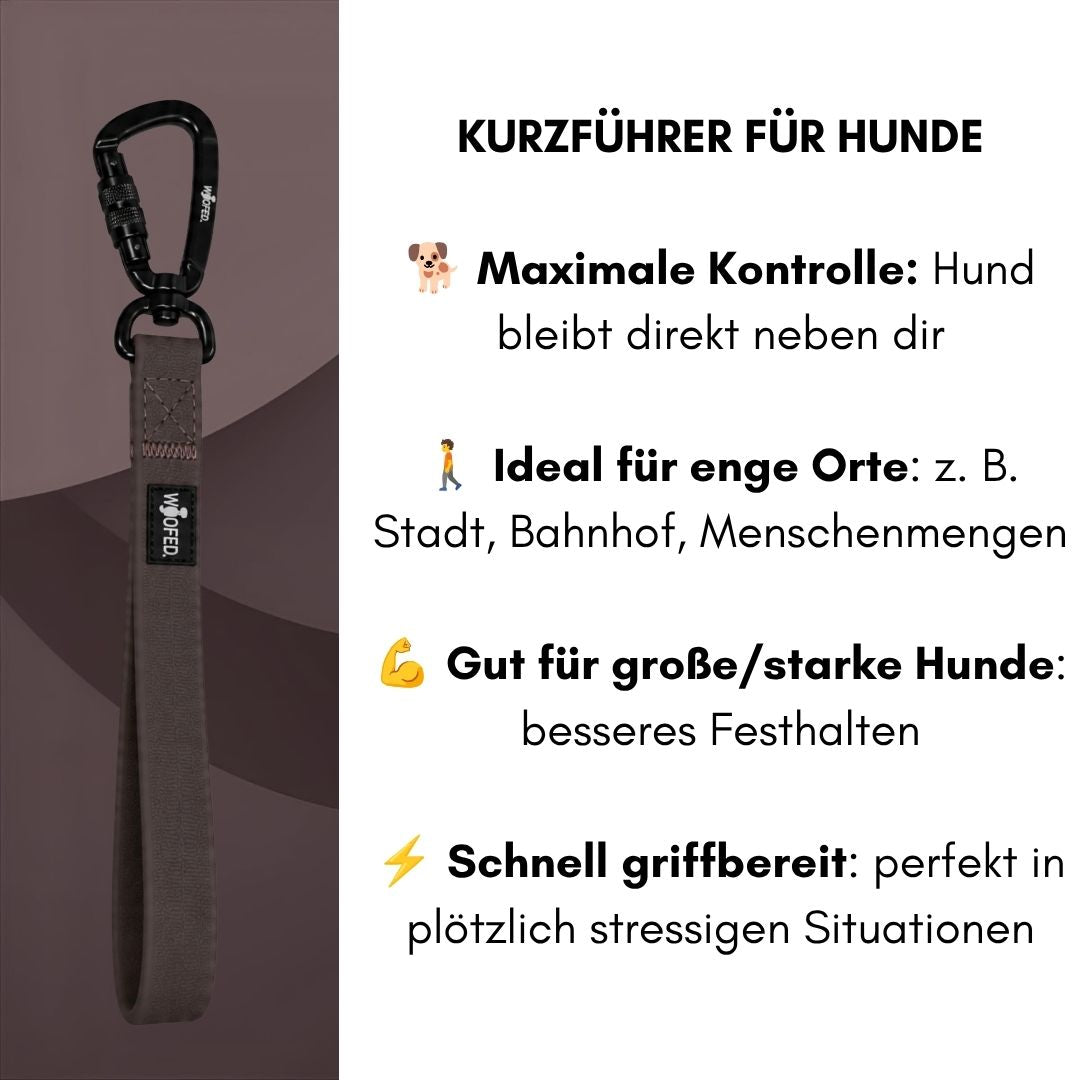 Kurzführer für maximale Kontrolle, besonders praktisch für große Hunde in Menschenmengen in dunkelbraun 
