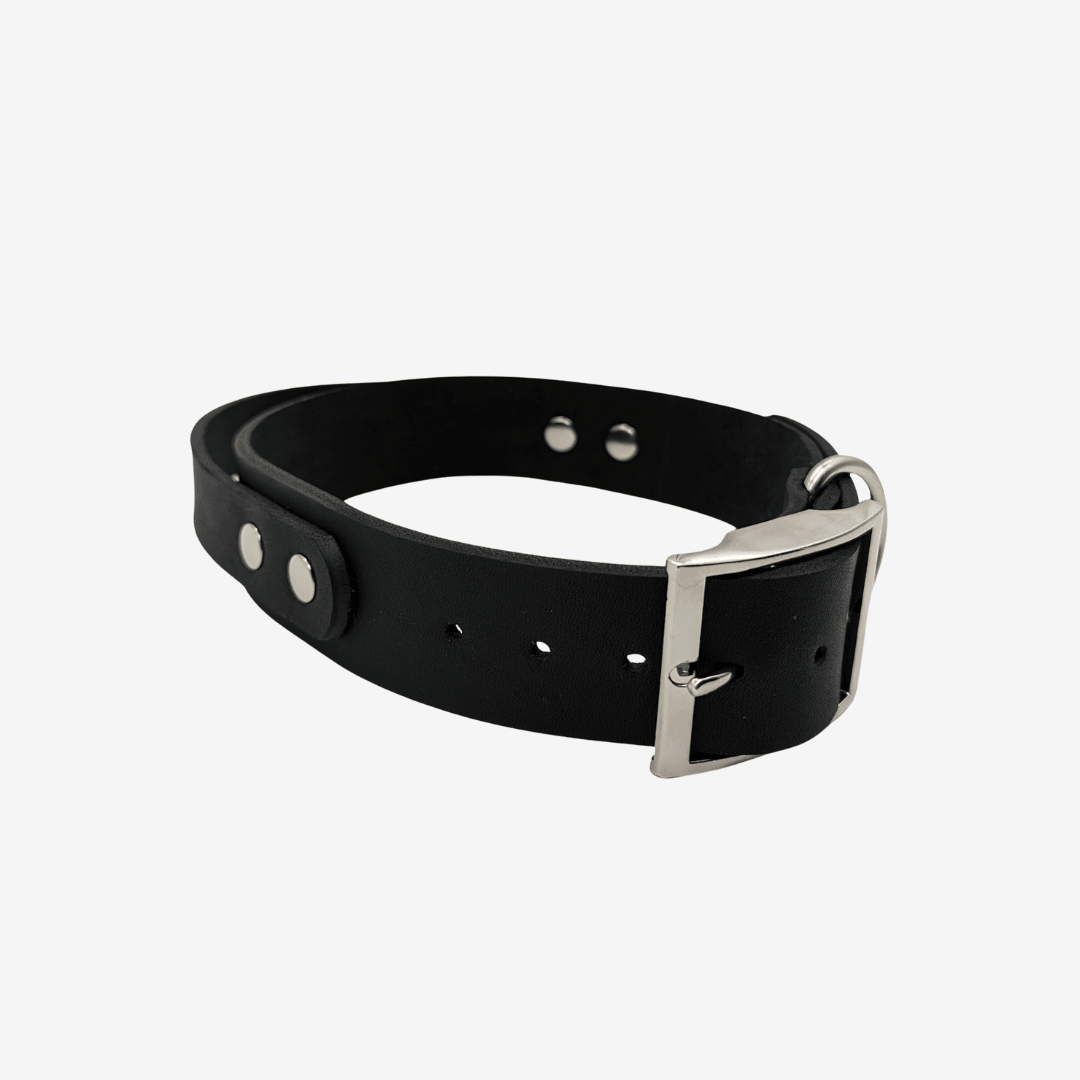 Leder Halsband mit Griff verstellbar - WOOFED.