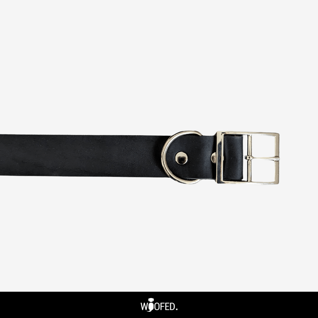 Leder Halsband verstellbar - WOOFED.