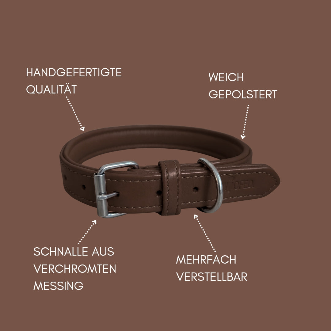 Lederhalsband in Dunkelbraun mit Messing Beschlägen und weicher Polsterung 
