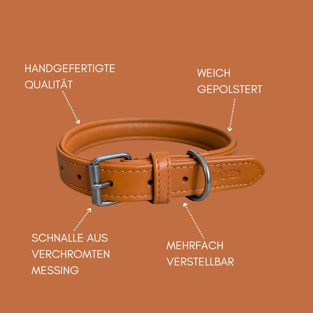 Lederhalsband in Cognac mit verschromten Beschlägen und weicher Polsterung 