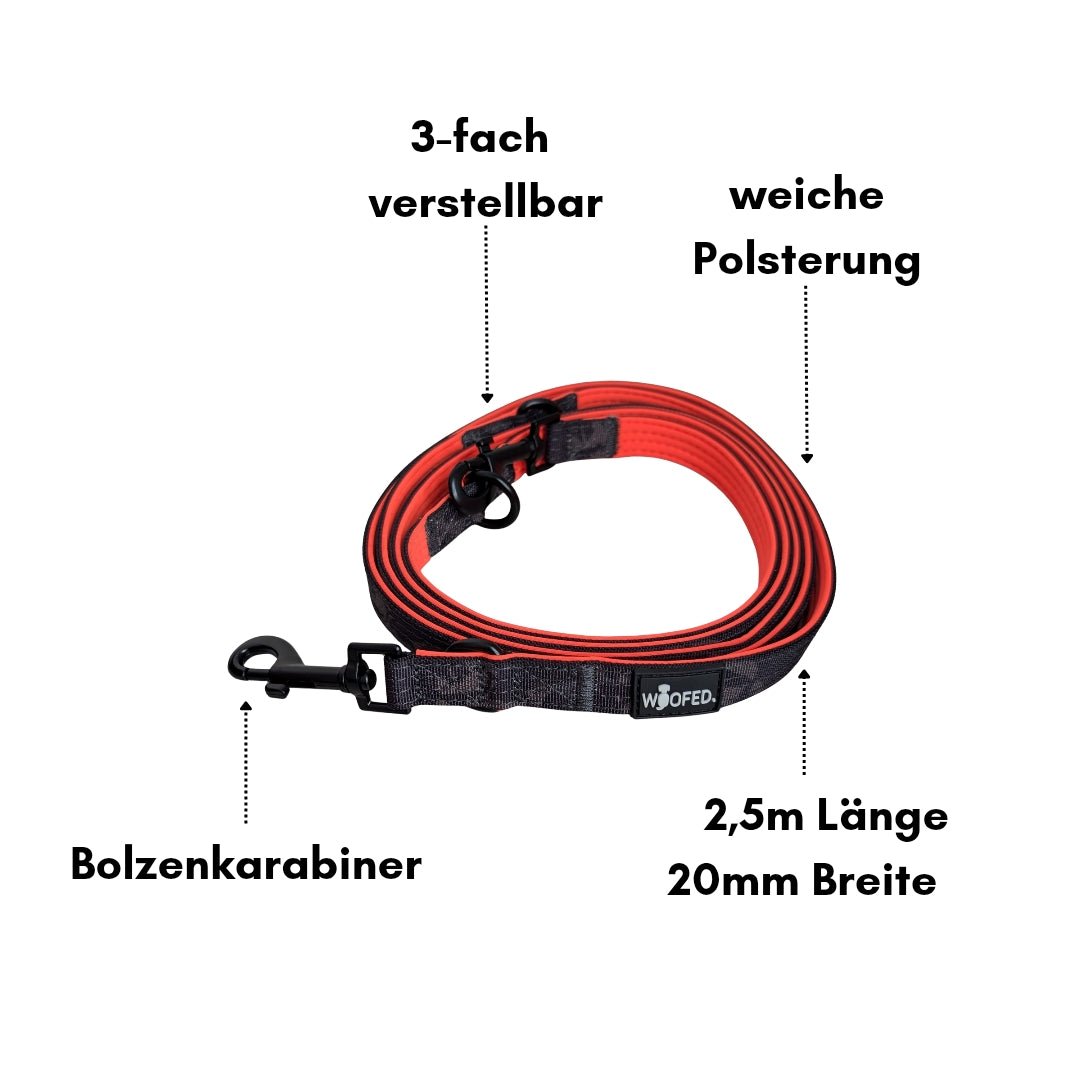 Nylon Hundeleine 3-fach verstellbar mit Bolzenkarabiner in 2,5m Leinenlänge 