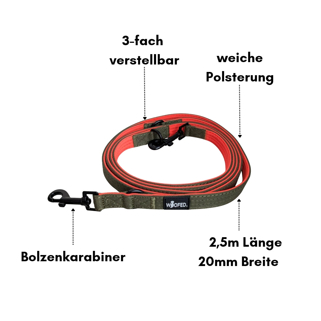 Verstellbare Hundeleine aus robustem Nylon in Oliv mit weicher Polsterung in orange mit Bolzenkarabiner 