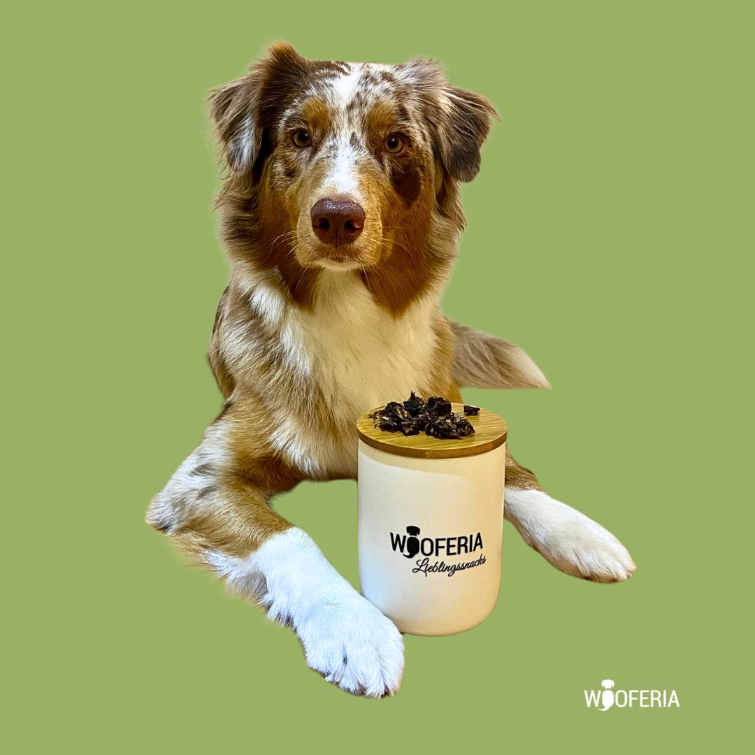 Pferdelunge Trainingshappen