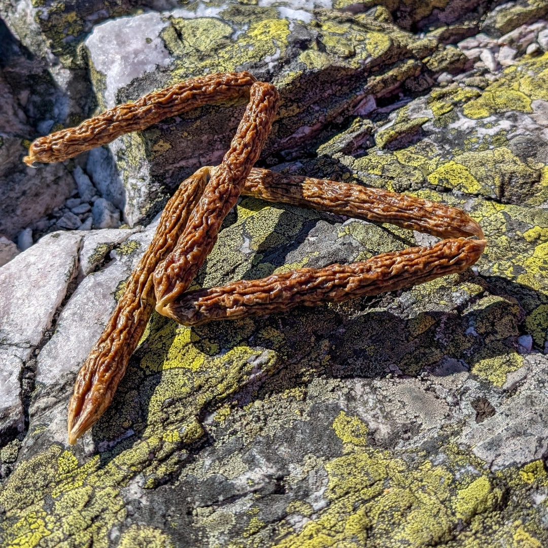Natürliche Kabanossi vom Rind für Hunde in auf einem Felsen in der Natur 