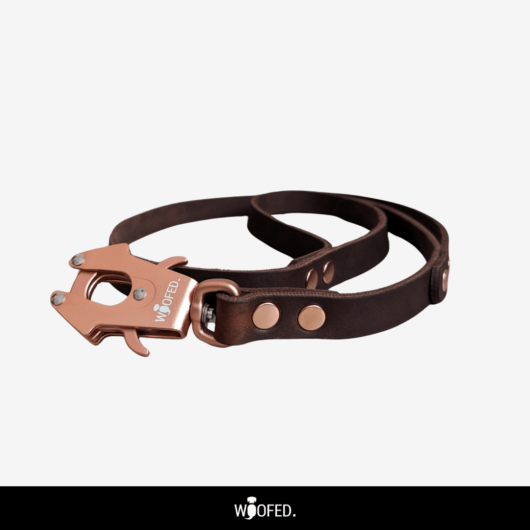 Leder Tactical Führleine mit fester Handschlaufe & Kurzführgriff - WOOFED.