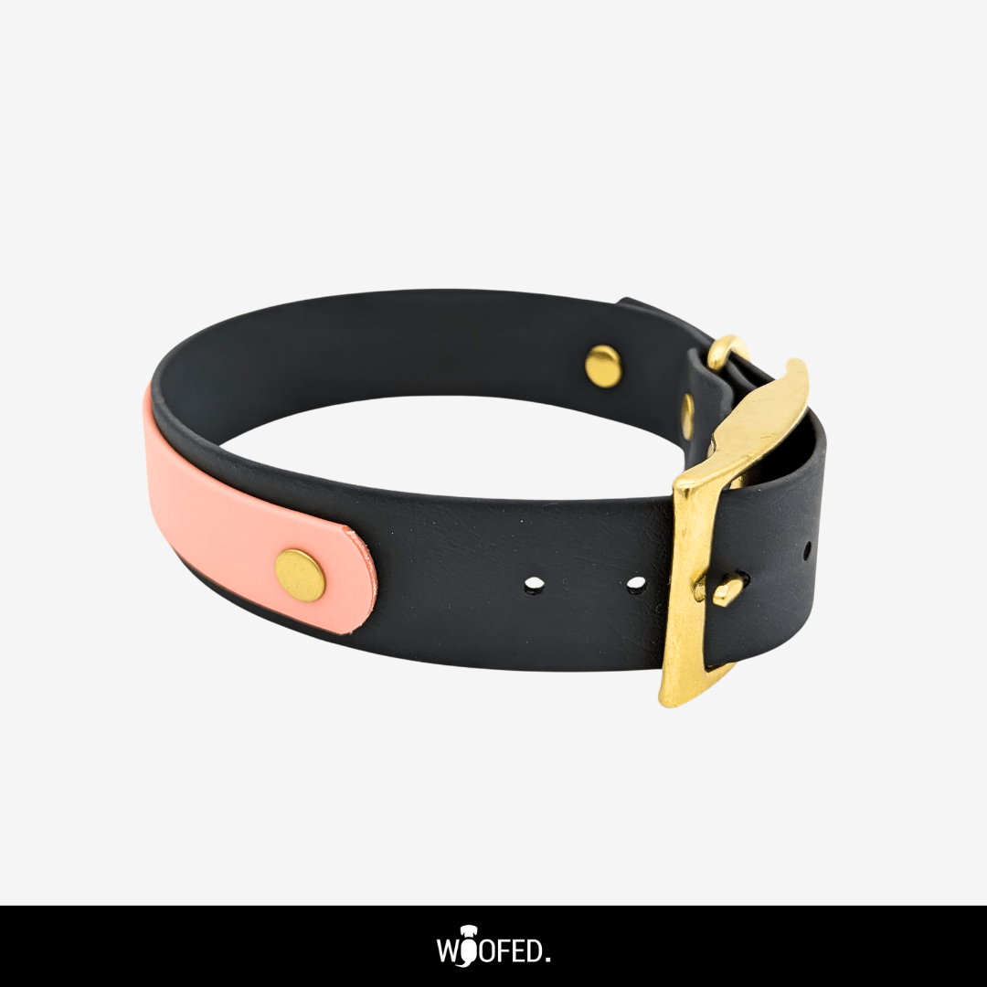 Biothane Halsband Mix it verstellbar - WOOFED.