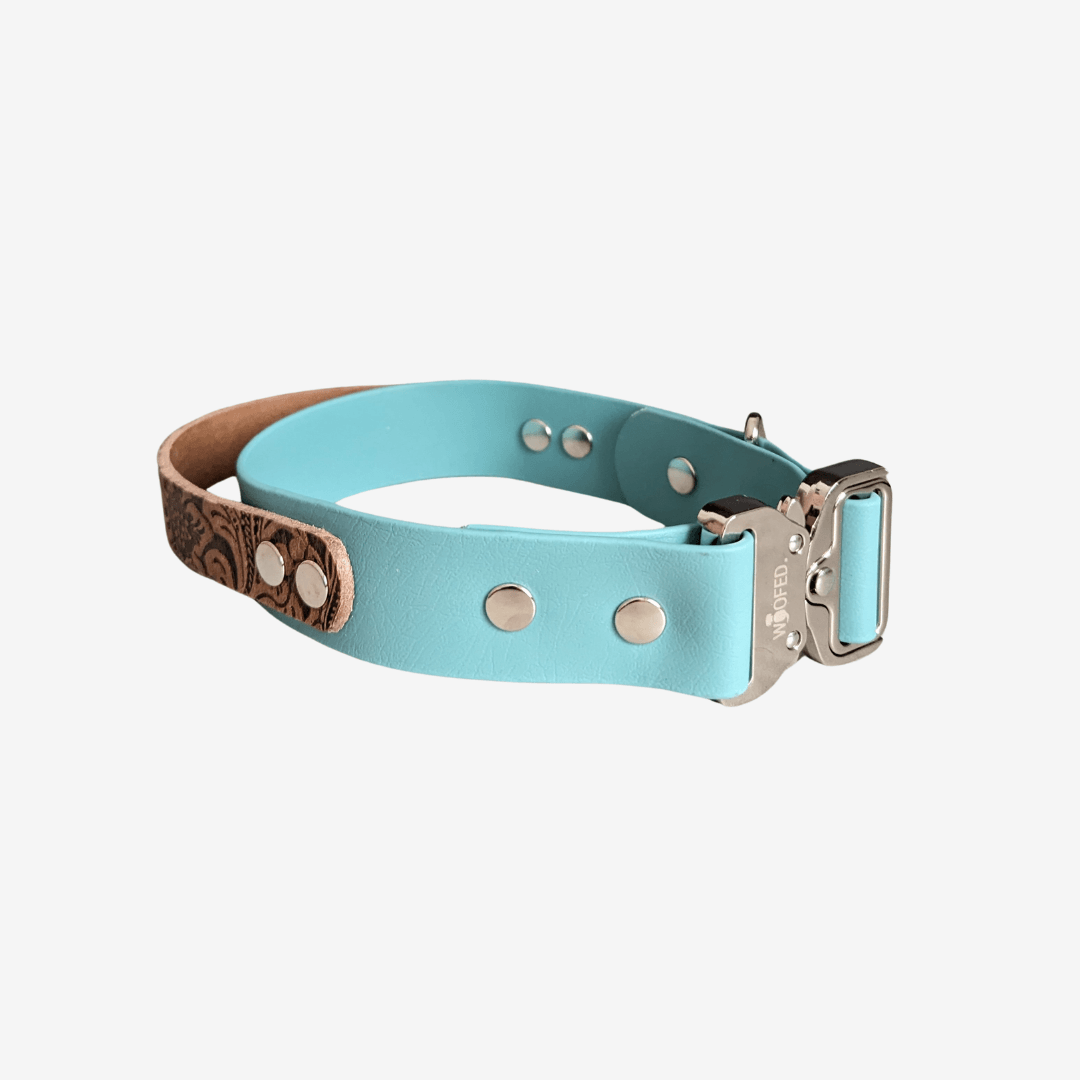 Floral Biothane Tactical Halsband mit Griff 38mm - WOOFED.