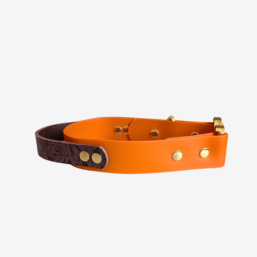 Floral Biothane Tactical Halsband mit Griff - WOOFED.