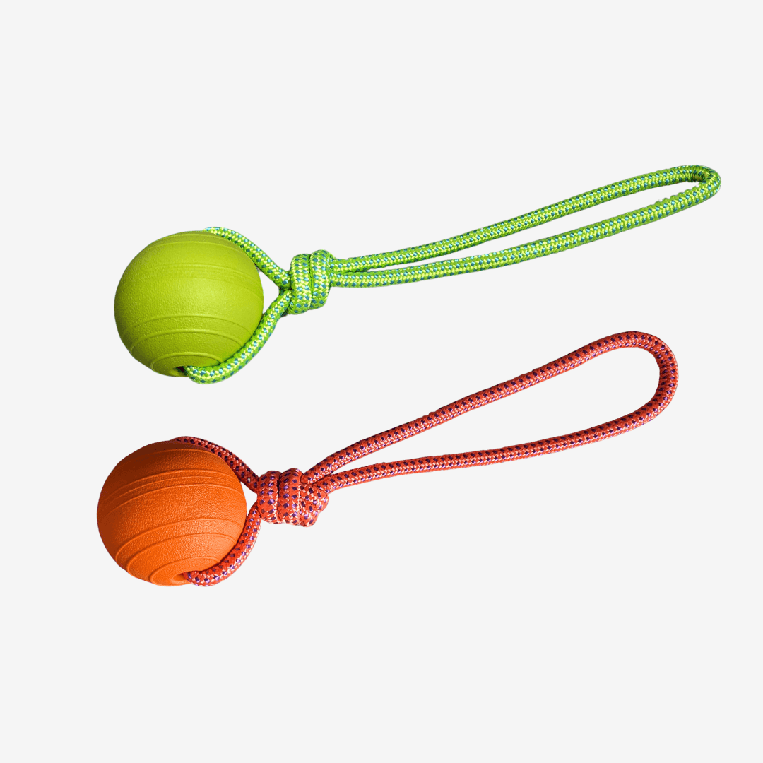 Ball mit Seil Wasserspielzeug - WOOFED.