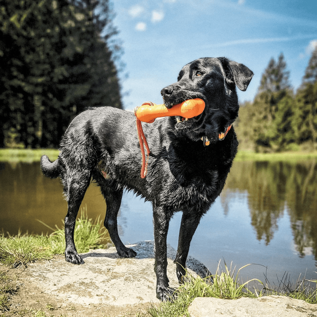 Knochen mit Seil Wasserspielzeug - WOOFED.