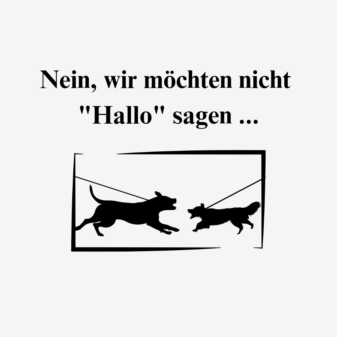 T-Shirt "Hallo sagen" Unisex