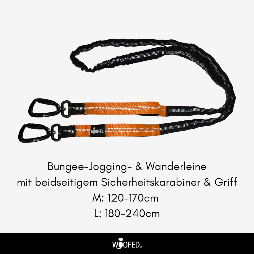 Gassigürtel Joggingleine Bundle