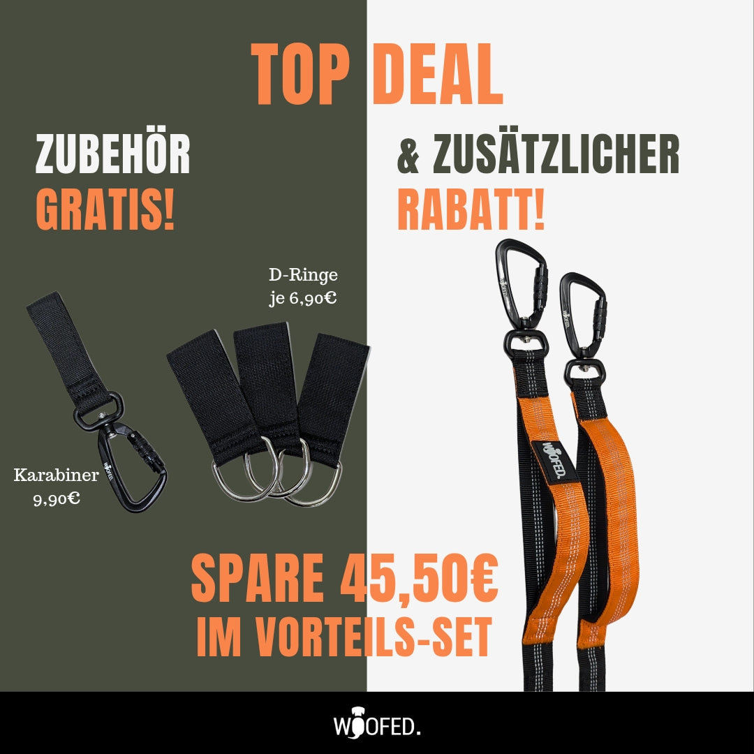 Gassigürtel Joggingleine Bundle