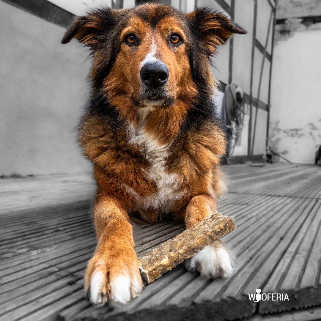 Superfood Power Riegel