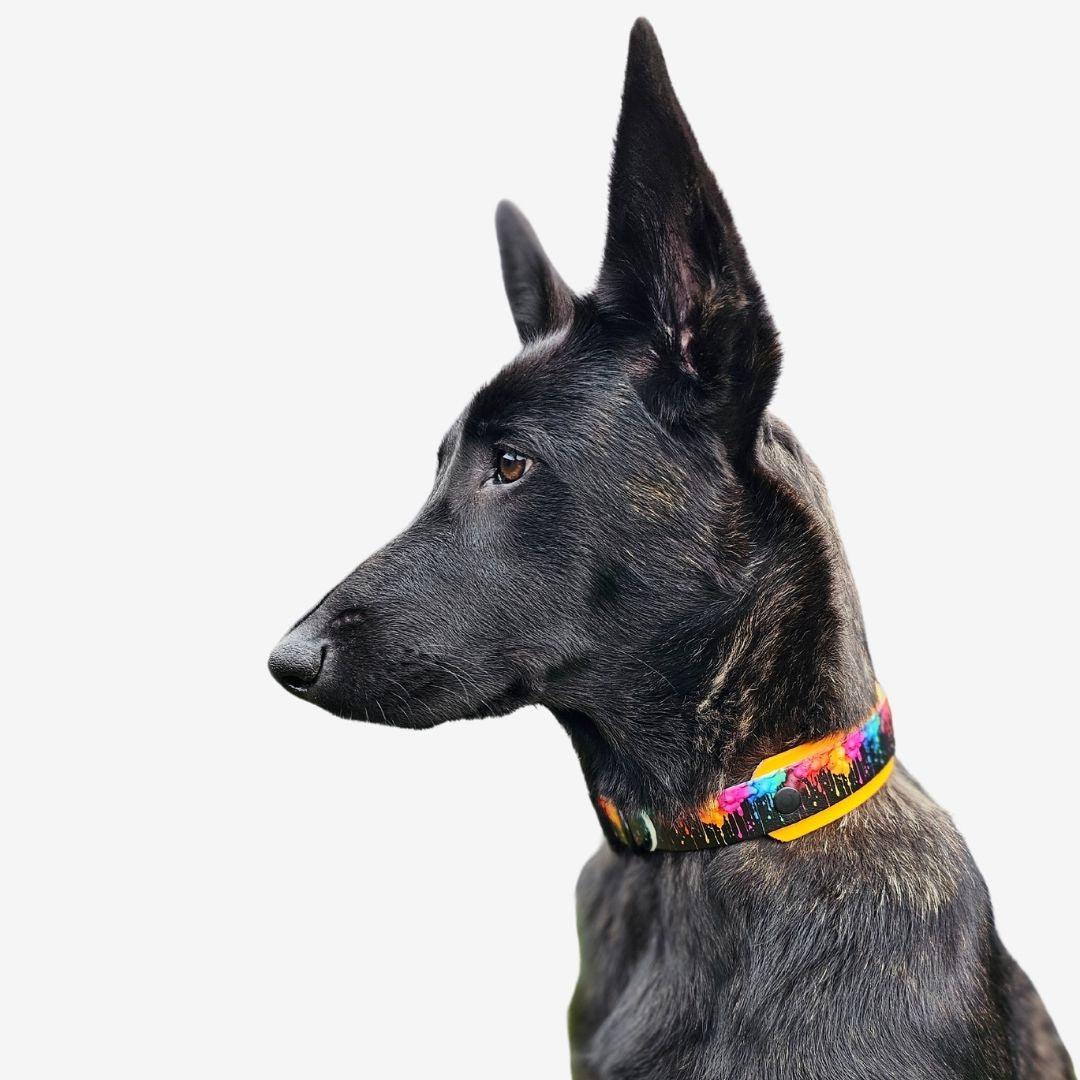 UV Biothane Halsband Color Splash - WOOFED.