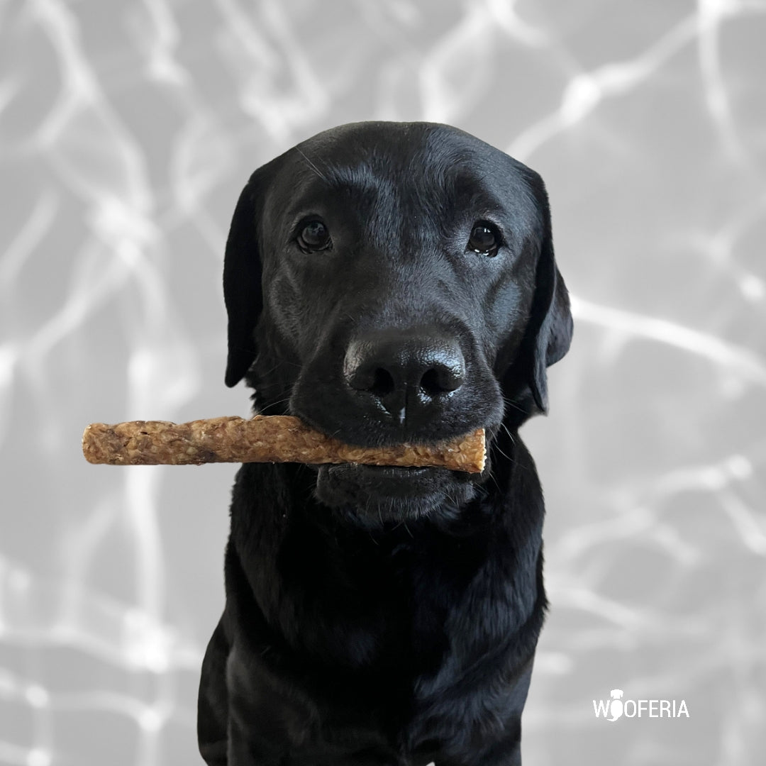 Hirschhaut Kaustange