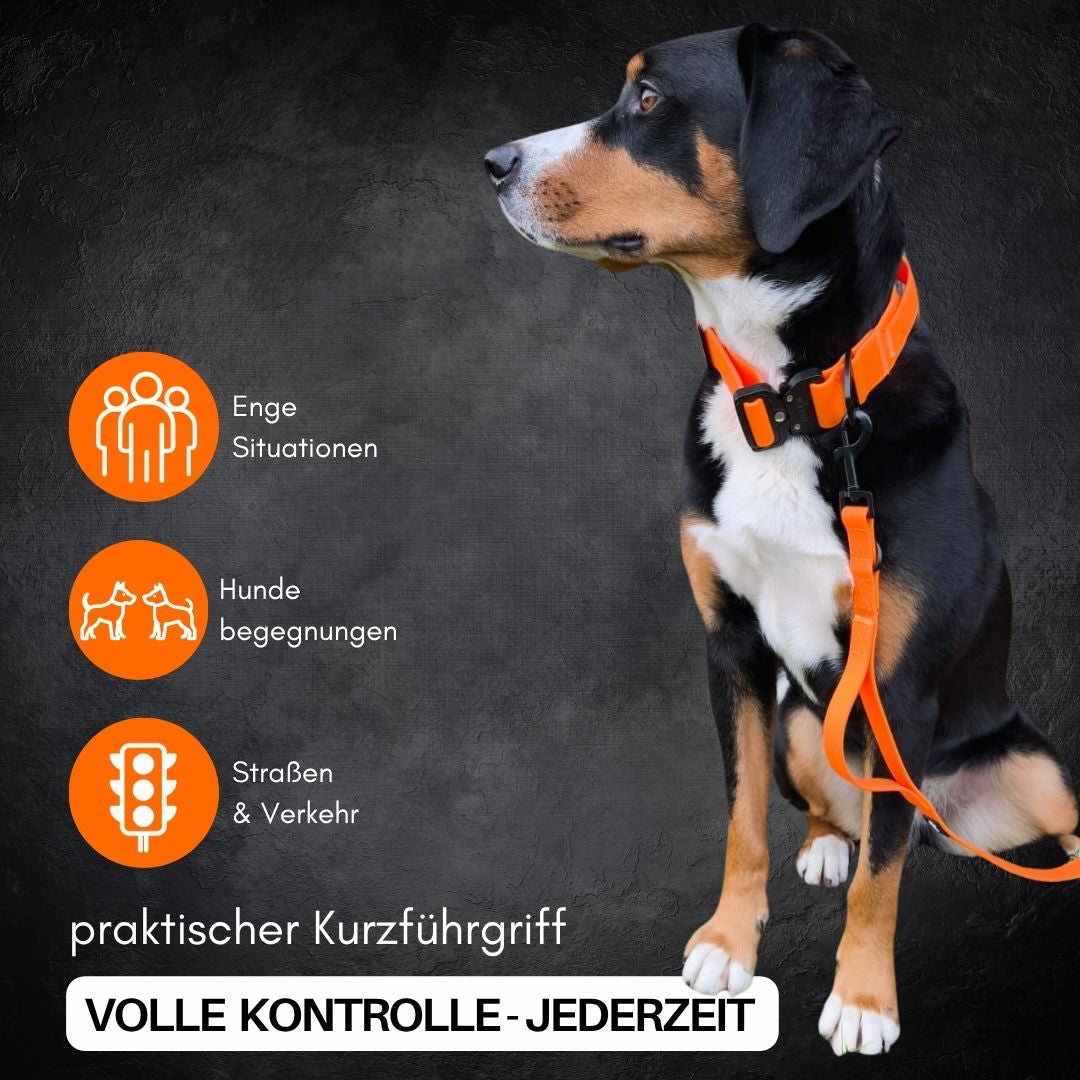 Führleine WOOFLEX® Classic verstellbar Sunset Orange