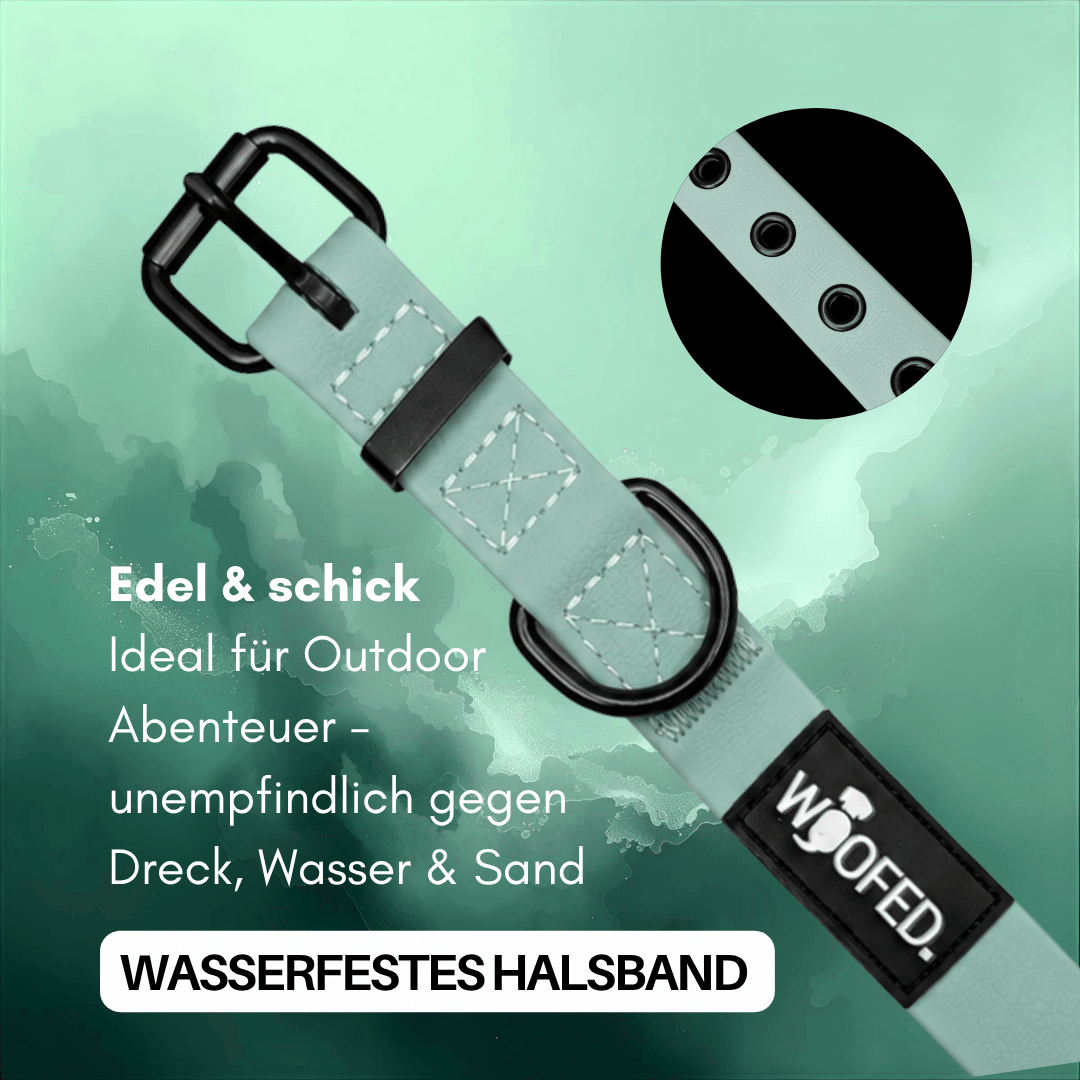 Halsband WOOFLEX® Classic verstellbar Jade Green