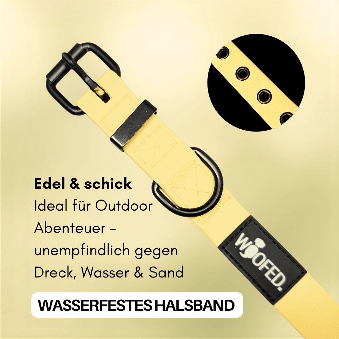 Halsband WOOFLEX® Classic verstellbar Lemon Grass
