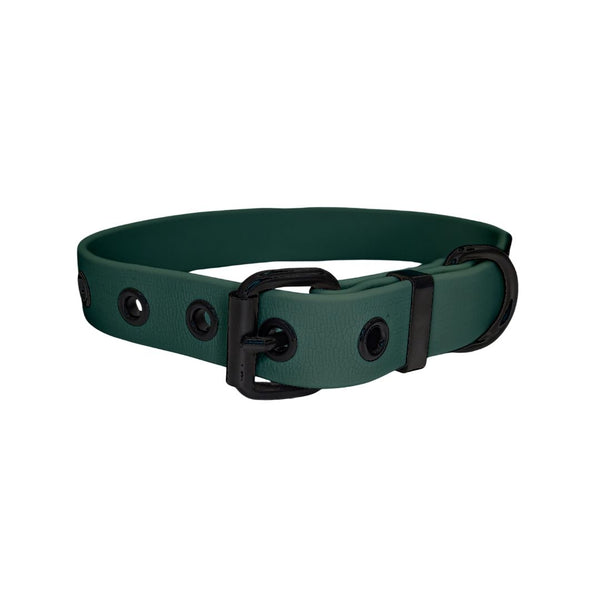 Tiefgrünes verstellbares Hundehalsband mit schwarzen Metallösen, Rollschnalle und D‑Ring, schräg freigestellt