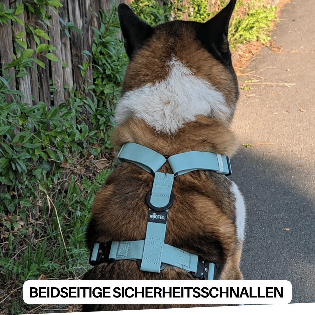 Y-Hundegeschirr WOOFLEX® 4fach-verstellbar mit Griff und Sicherheitsschnallen Jade Green - wasserfest