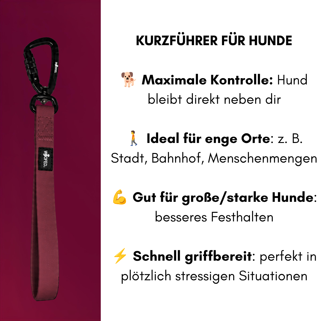 Kurzführer WOOFLEX® Burgundy