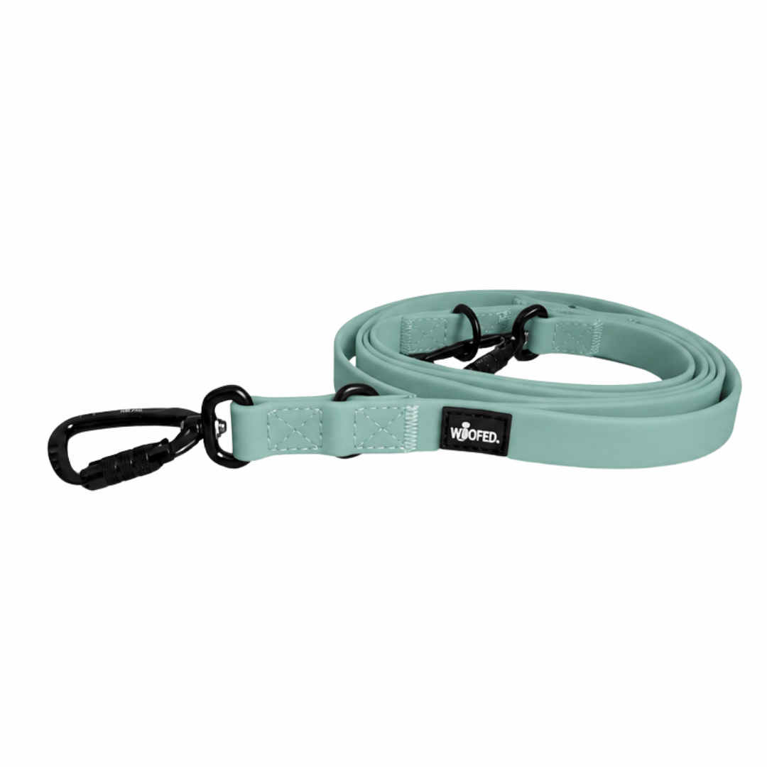 Führleine WOOFLEX® Pro verstellbar Jade Green