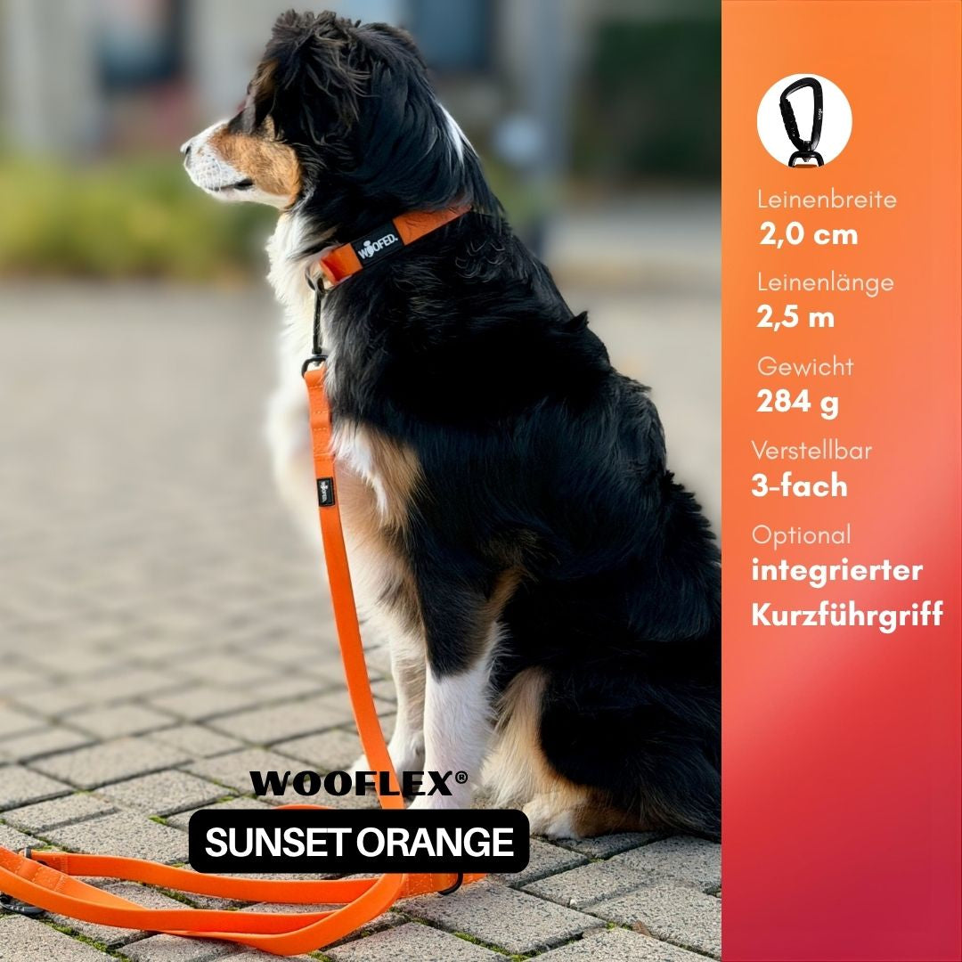 Führleine WOOFLEX® Pro verstellbar Sunset Orange