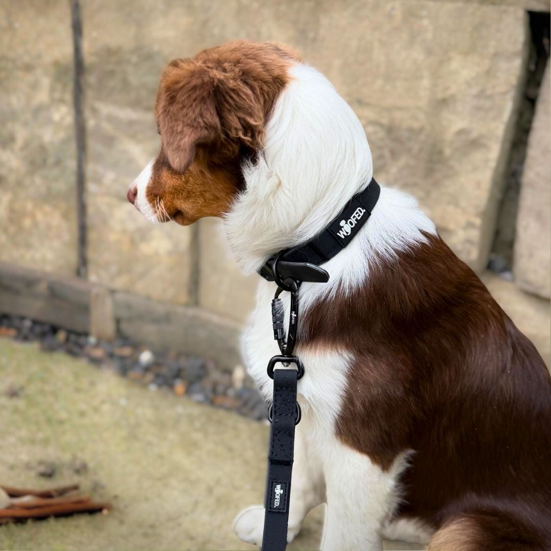 Führleine WOOFLEX® Pro verstellbar Phantom Black