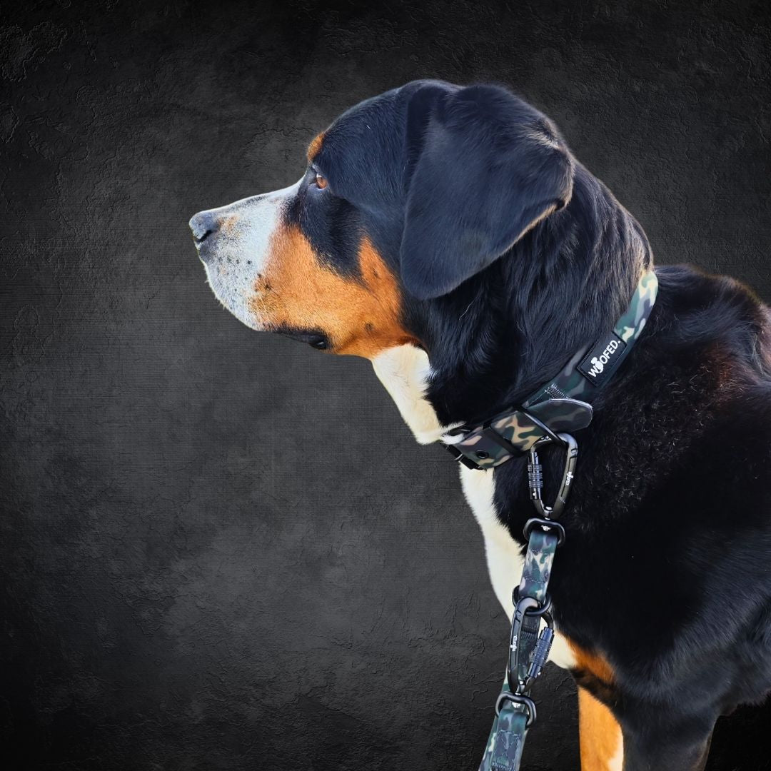 Führleine WOOFLEX® Pro verstellbar Woodland Camo