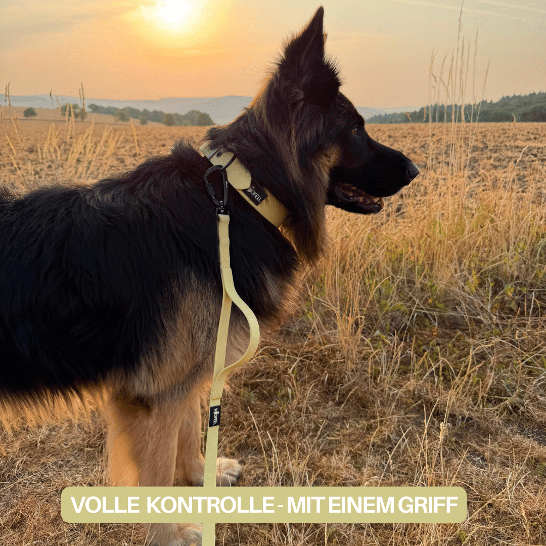 Führleine WOOFLEX® Pro verstellbar Lemon Grass