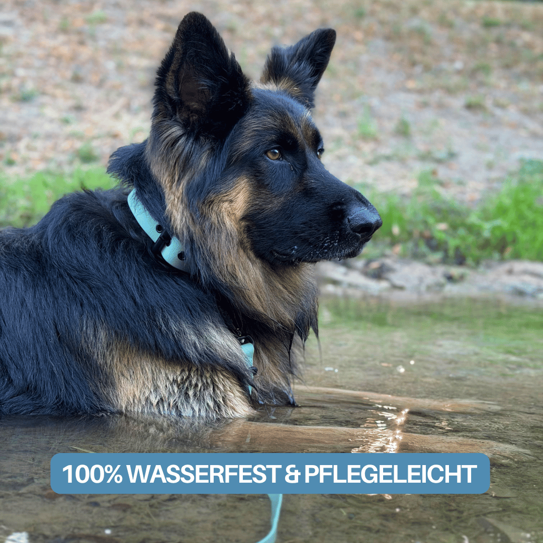Führleine WOOFLEX® Pro verstellbar Jade Green
