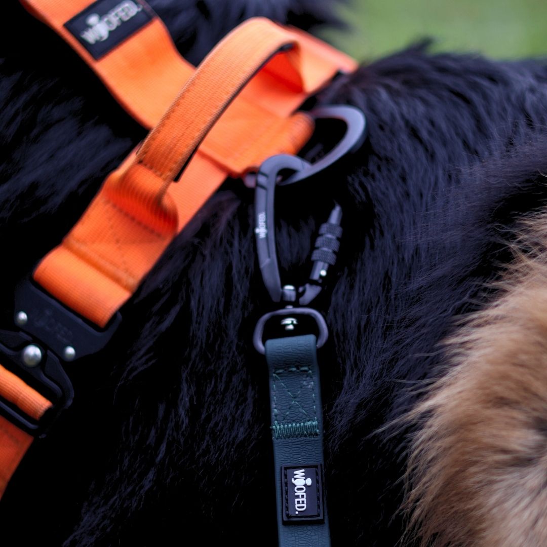 multifunktionale Schleppleine WOOFLEX® Hunting Green