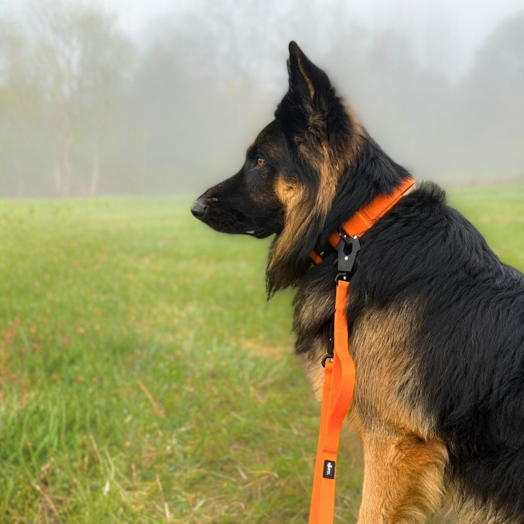 Führleine WOOFLEX® Tactical verstellbar Sunset Orange