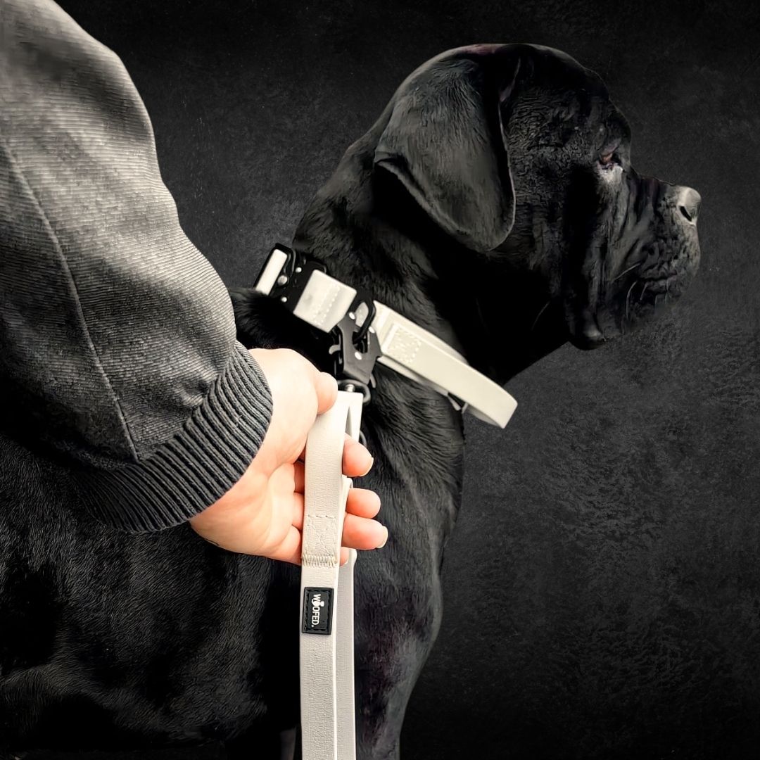 Führleine WOOFLEX® Tactical verstellbar Desert Sand