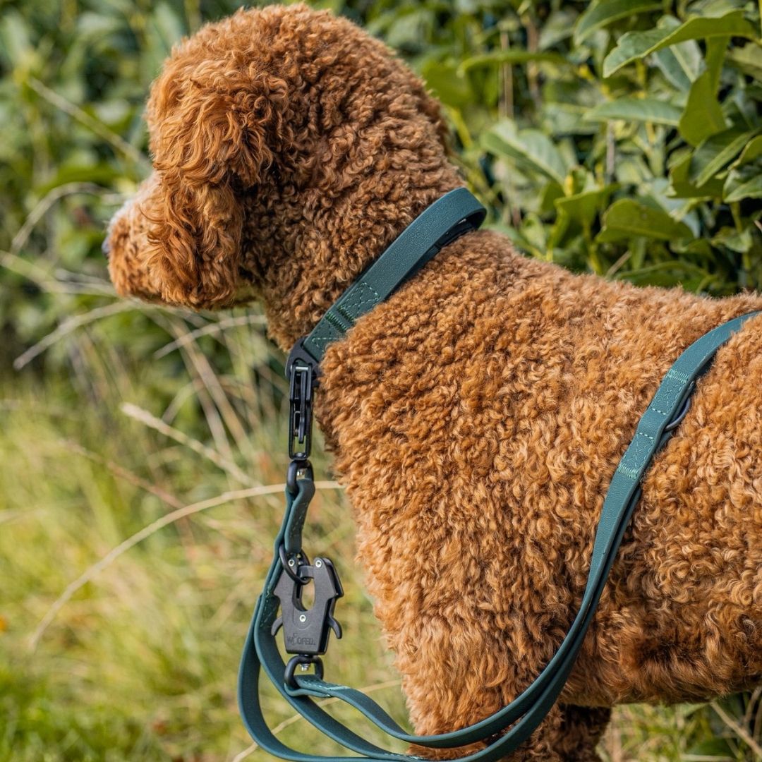 Führleine WOOFLEX® Tactical verstellbar Hunting Green