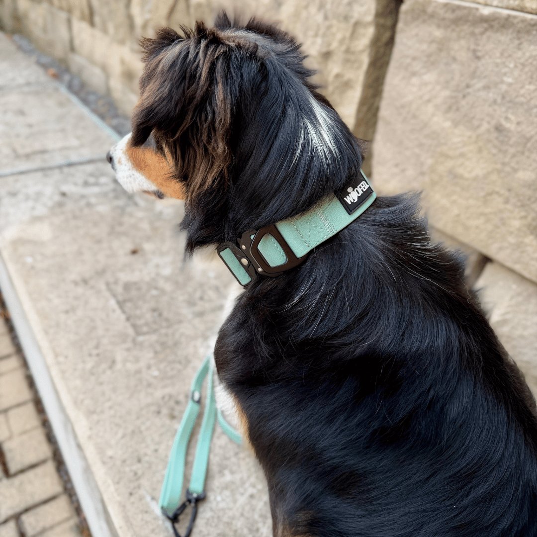 Halsband WOOFLEX® Tactical verstellbar ohne Griff Jade Green